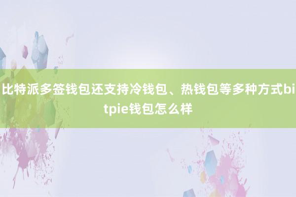 比特派多签钱包还支持冷钱包、热钱包等多种方式bitpie钱包怎么样