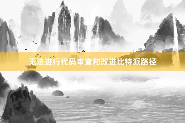 无法进行代码审查和改进比特派路径