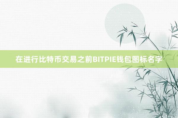 在进行比特币交易之前BITPIE钱包图标名字