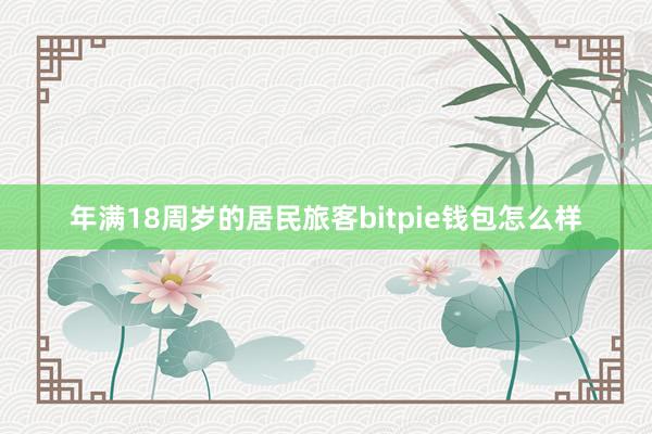 年满18周岁的居民旅客bitpie钱包怎么样