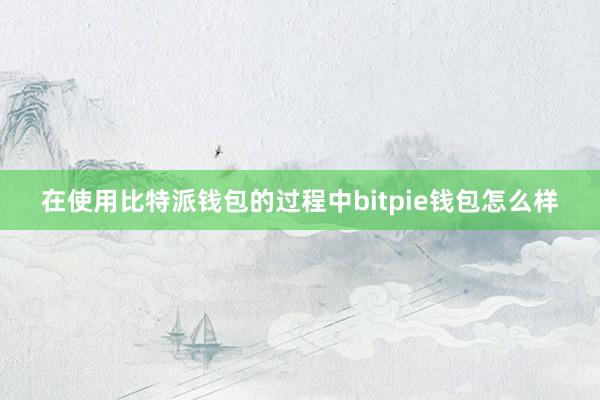 在使用比特派钱包的过程中bitpie钱包怎么样