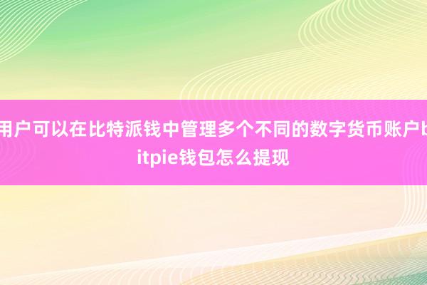 用户可以在比特派钱中管理多个不同的数字货币账户bitpie钱包怎么提现