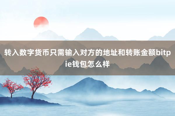 转入数字货币只需输入对方的地址和转账金额bitpie钱包怎么样