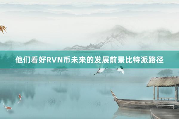 他们看好RVN币未来的发展前景比特派路径