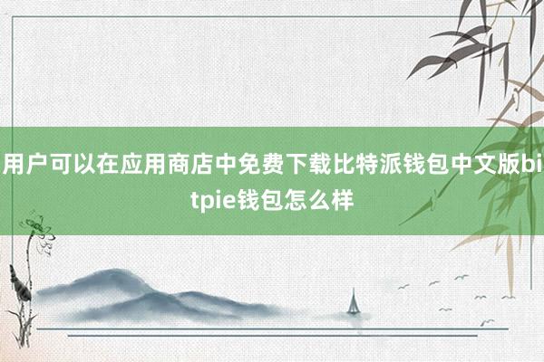 用户可以在应用商店中免费下载比特派钱包中文版bitpie钱包怎么样