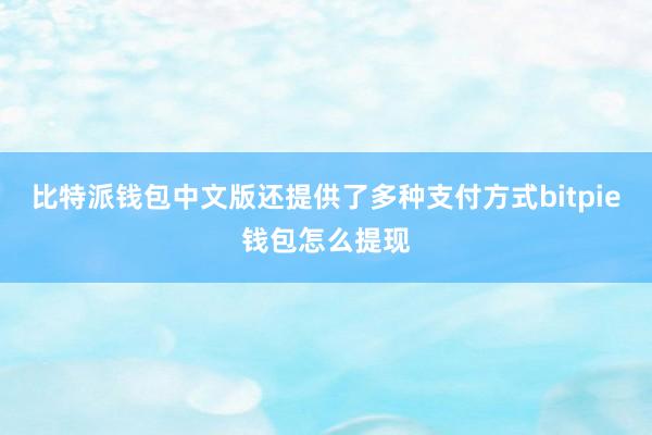 比特派钱包中文版还提供了多种支付方式bitpie钱包怎么提现