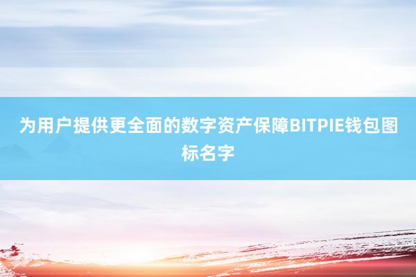 为用户提供更全面的数字资产保障BITPIE钱包图标名字