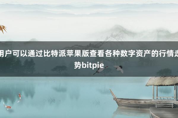 用户可以通过比特派苹果版查看各种数字资产的行情走势bitpie