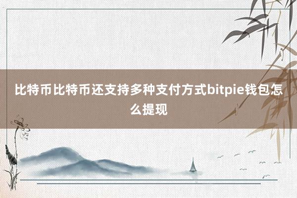 比特币比特币还支持多种支付方式bitpie钱包怎么提现