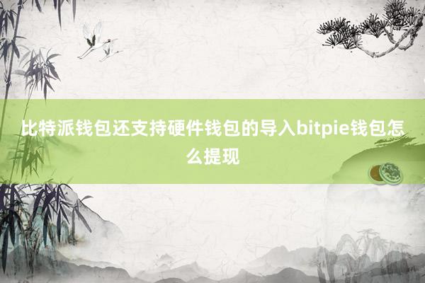 比特派钱包还支持硬件钱包的导入bitpie钱包怎么提现