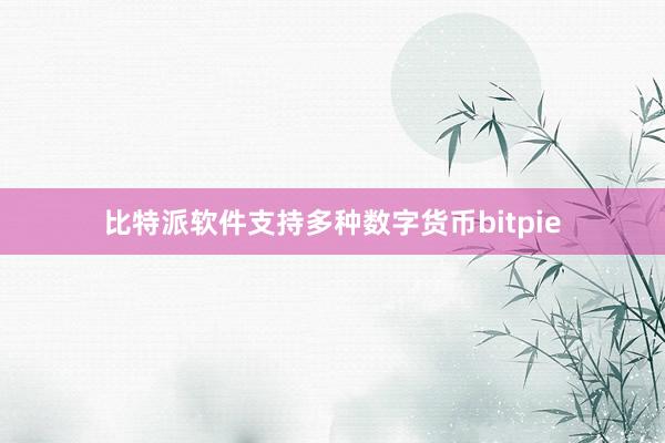 比特派软件支持多种数字货币bitpie