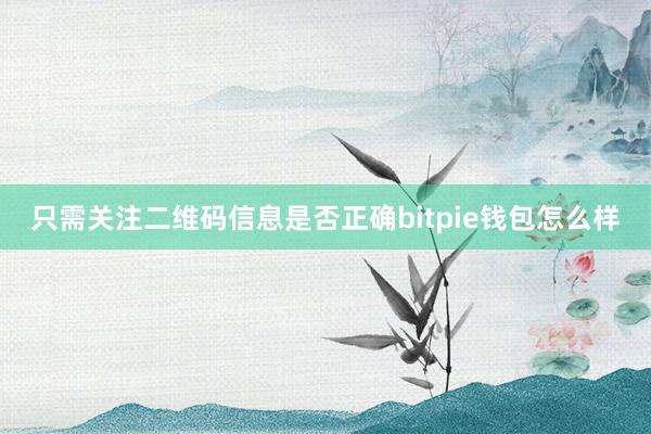 只需关注二维码信息是否正确bitpie钱包怎么样