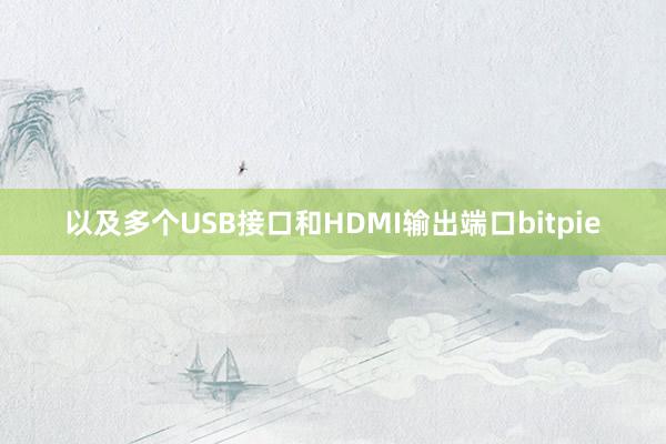 以及多个USB接口和HDMI输出端口bitpie