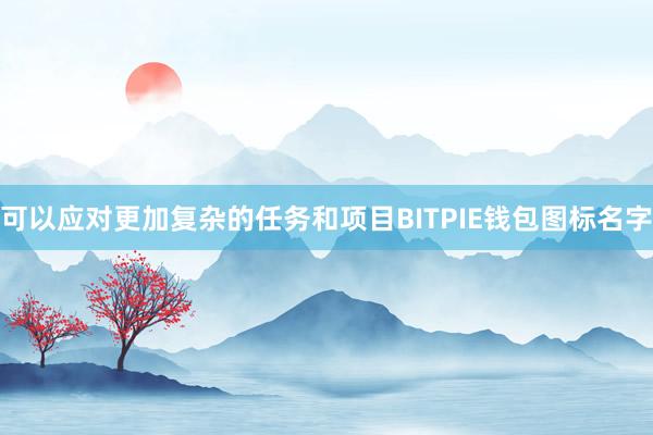 可以应对更加复杂的任务和项目BITPIE钱包图标名字