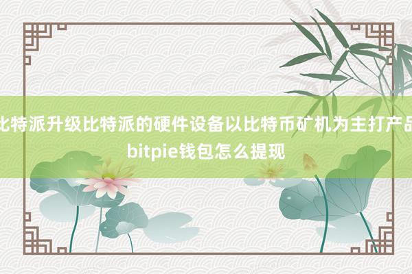 比特派升级比特派的硬件设备以比特币矿机为主打产品bitpie钱包怎么提现