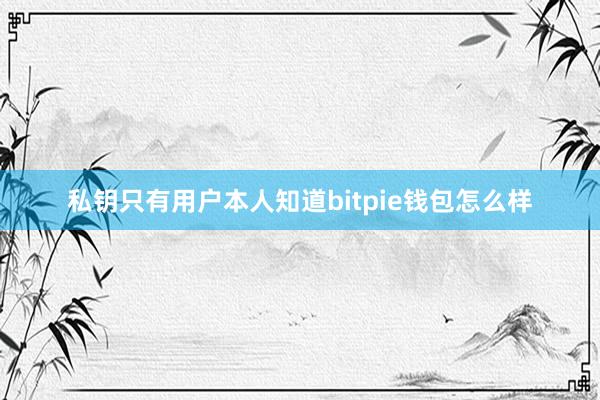 私钥只有用户本人知道bitpie钱包怎么样