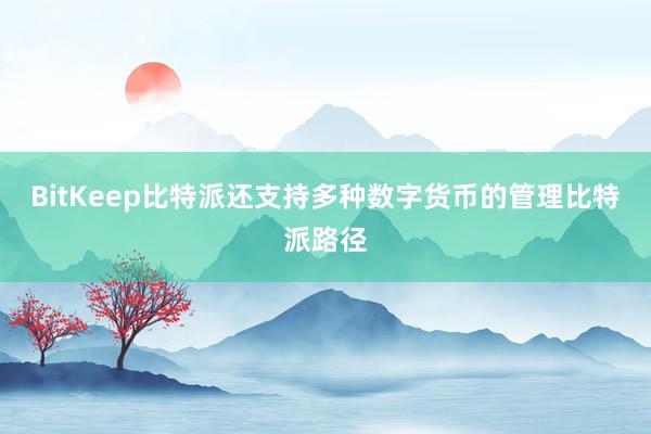 BitKeep比特派还支持多种数字货币的管理比特派路径