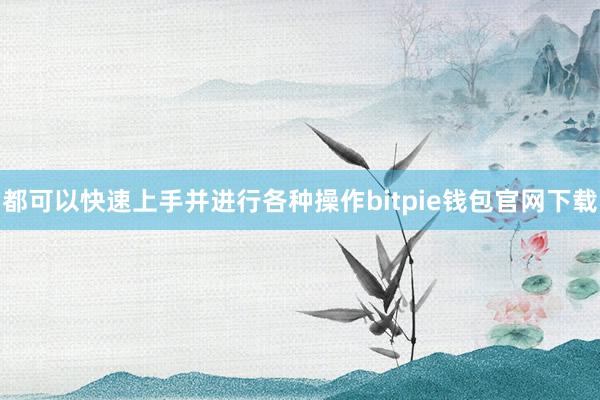 都可以快速上手并进行各种操作bitpie钱包官网下载