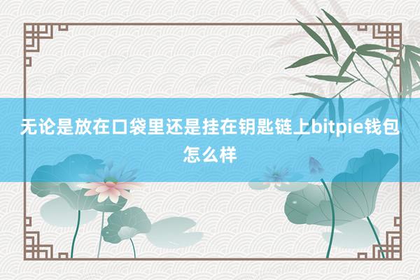 无论是放在口袋里还是挂在钥匙链上bitpie钱包怎么样