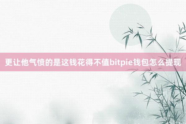 更让他气愤的是这钱花得不值bitpie钱包怎么提现