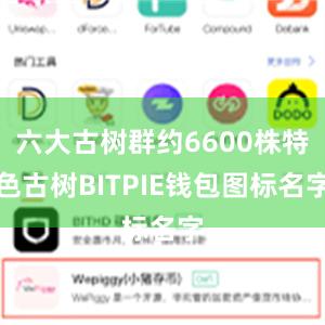 六大古树群约6600株特色古树BITPIE钱包图标名字