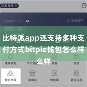 比特派app还支持多种支付方式bitpie钱包怎么样