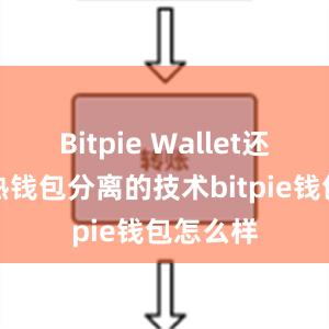 Bitpie Wallet还采用冷热钱包分离的技术bitpie钱包怎么样