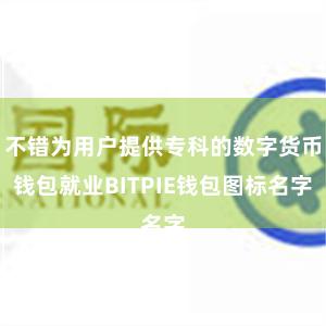 不错为用户提供专科的数字货币钱包就业BITPIE钱包图标名字